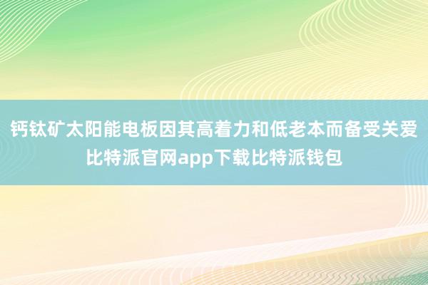 钙钛矿太阳能电板因其高着力和低老本而备受关爱比特派官网app下载比特派钱包