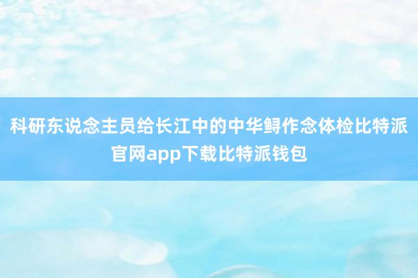 科研东说念主员给长江中的中华鲟作念体检比特派官网app下载比特派钱包