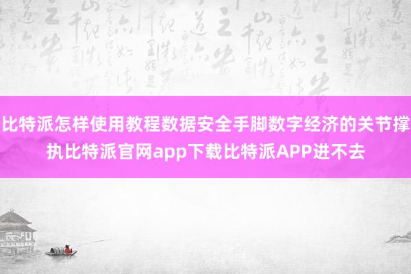 比特派怎样使用教程数据安全手脚数字经济的关节撑执比特派官网app下载比特派APP进不去