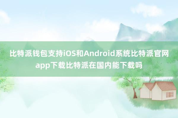 比特派钱包支持iOS和Android系统比特派官网app下载比特派在国内能下载吗