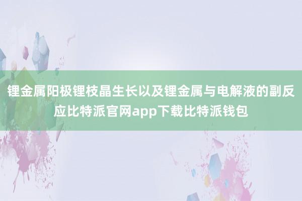 锂金属阳极锂枝晶生长以及锂金属与电解液的副反应比特派官网app下载比特派钱包