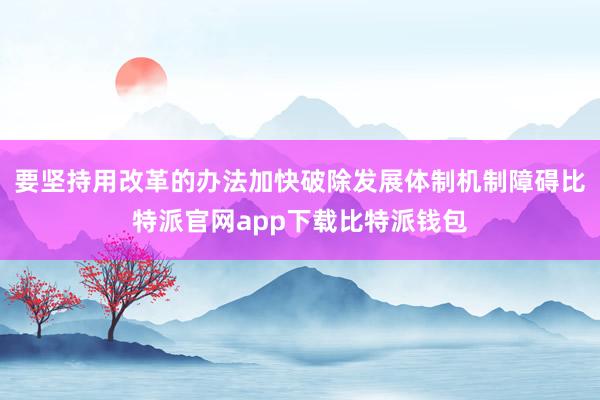 要坚持用改革的办法加快破除发展体制机制障碍比特派官网app下载比特派钱包