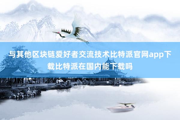 与其他区块链爱好者交流技术比特派官网app下载比特派在国内能下载吗