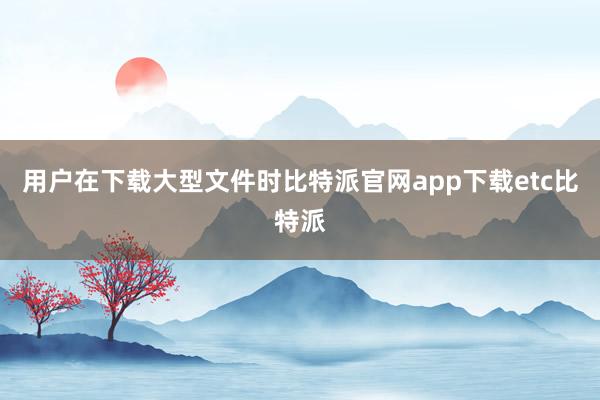 用户在下载大型文件时比特派官网app下载etc比特派