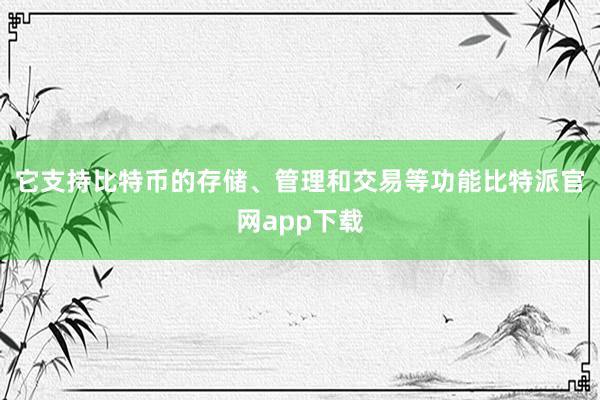 它支持比特币的存储、管理和交易等功能比特派官网app下载