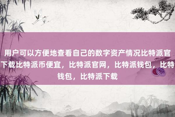 用户可以方便地查看自己的数字资产情况比特派官网app下载比特派币便宜，比特派官网，比特派钱包，比特派下载