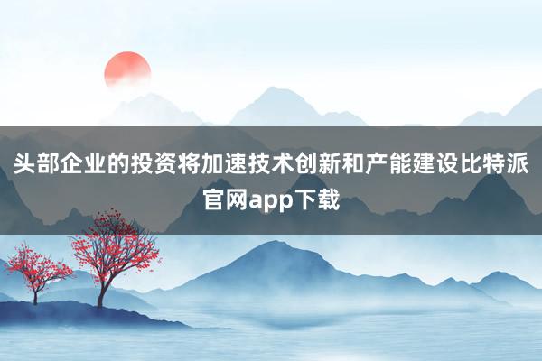 头部企业的投资将加速技术创新和产能建设比特派官网app下载