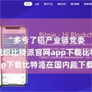 “多亏了铝产业链党委的牵头组织比特派官网app下载比特派在国内能下载吗