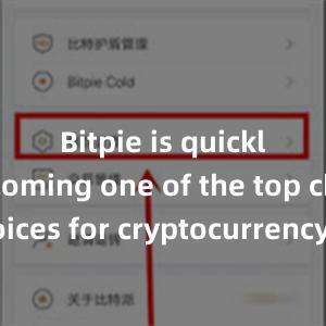 Bitpie is quickly becoming one of the top choices for cryptocurrency enthusiasts worldwide.比特派官网app下载比特派币便宜，比特派官网，比特派钱包，比特派下载