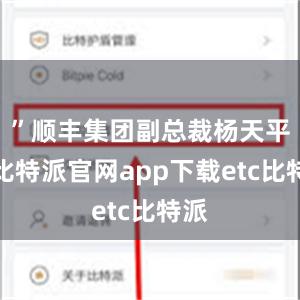 ”顺丰集团副总裁杨天平说比特派官网app下载etc比特派