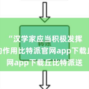 “汉学家应当积极发挥其应有的作用比特派官网app下载丘比特派送