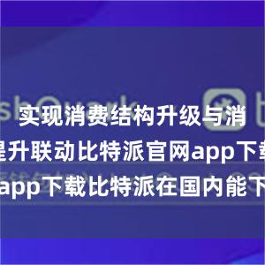 实现消费结构升级与消费品质提升联动比特派官网app下载比特派在国内能下载吗