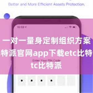 一对一量身定制组织方案比特派官网app下载etc比特派